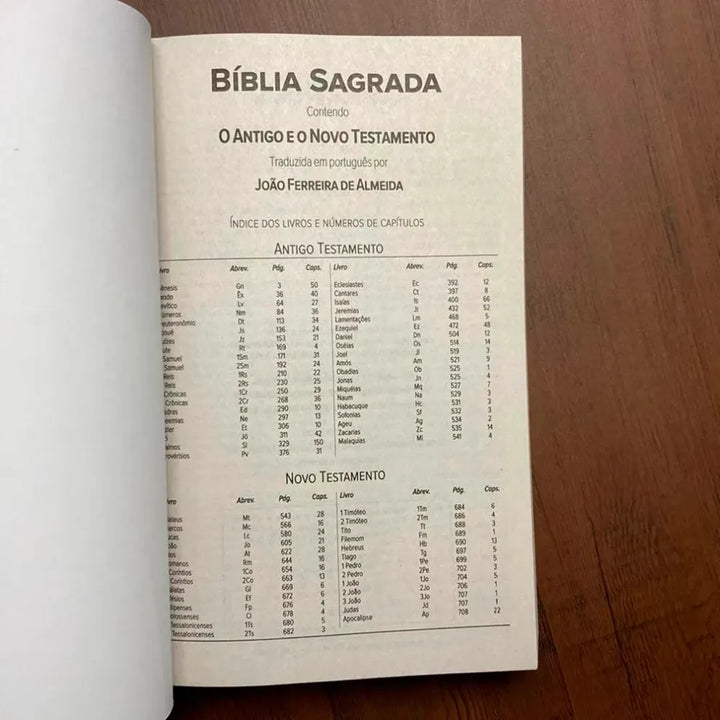 Bíblia Oceano | ARC | Letra Normal | Capa Brochura