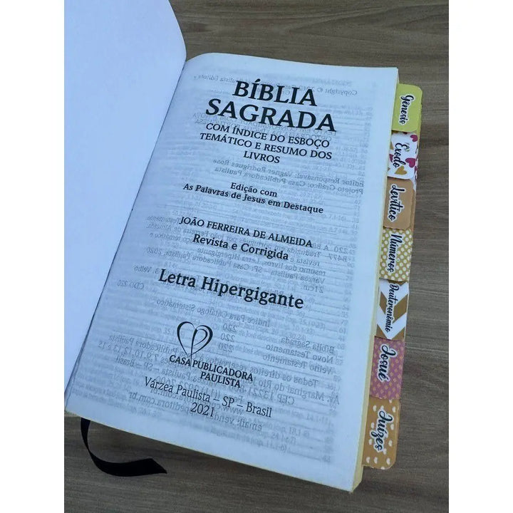 Biblia ARC A Menina dos Olhos de Deus com Abas