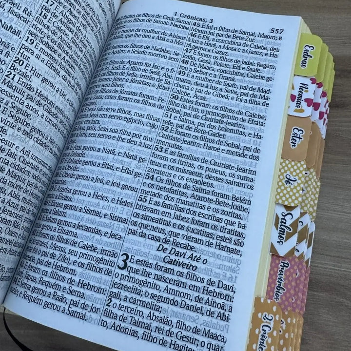 Biblia ARC A Menina dos Olhos de Deus com Abas