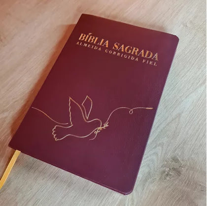 Biblia Paz - ACF - Letra Maior - Capa Luxo