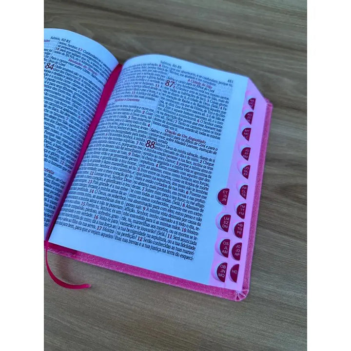 Biblia ARC Glitter  Leao JESUS