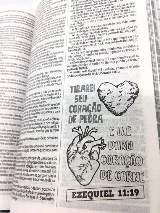 Biblia KJ Slim Lettering Leao Feminino