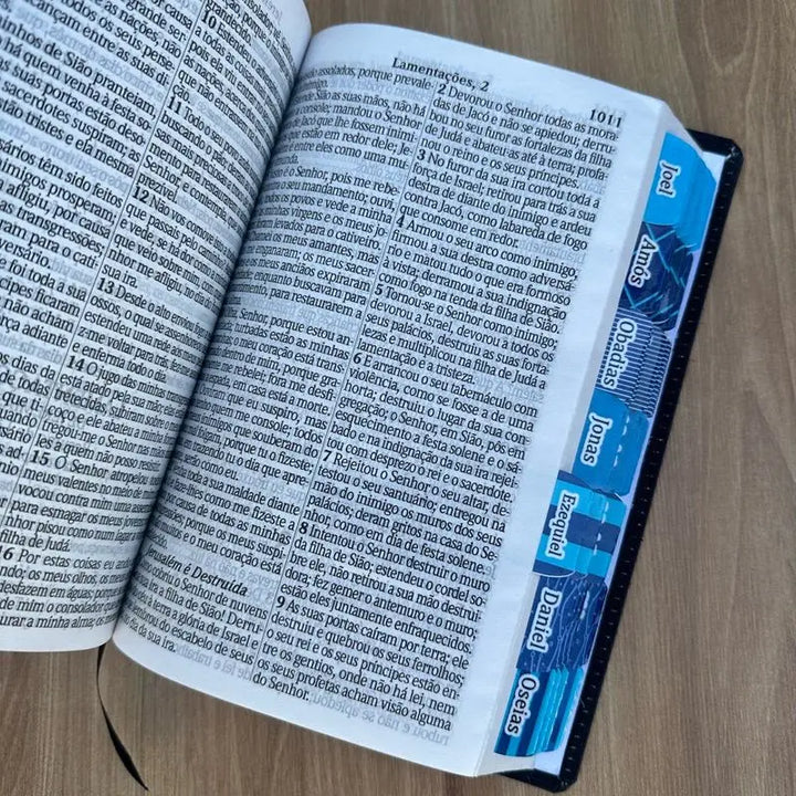 Biblia ARC  Seja Forte e Corajoso com Abas