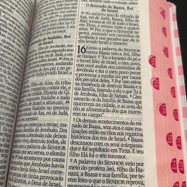 Biblia NVI Ancora Rosa