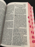 Biblia NVI Ancora Rosa