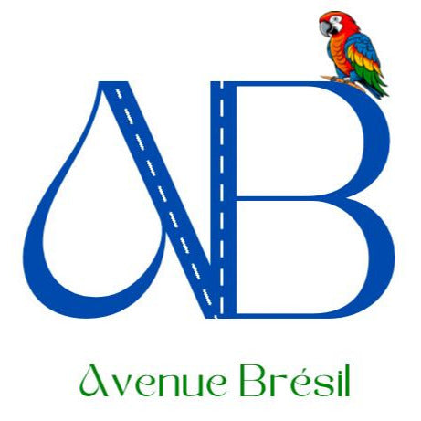 Avenue Brésil