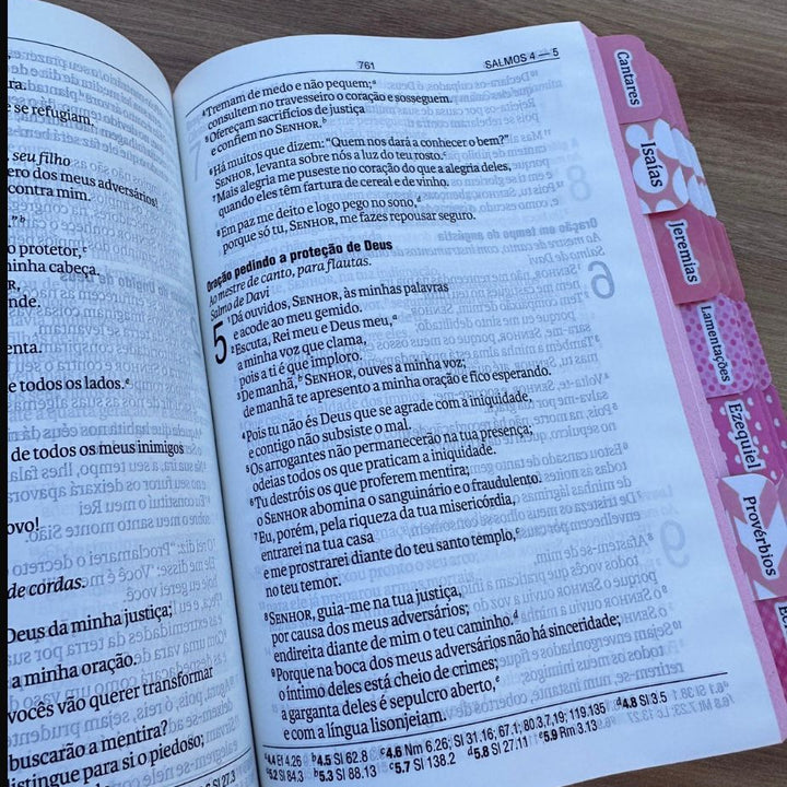 Biblia NTLH da Garota com Abas coladas